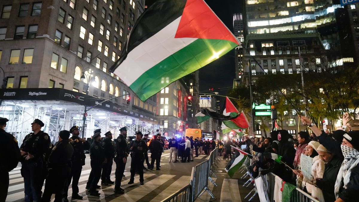 A pro-Palestinian supporter waves the Palestinian flag while across from police officers