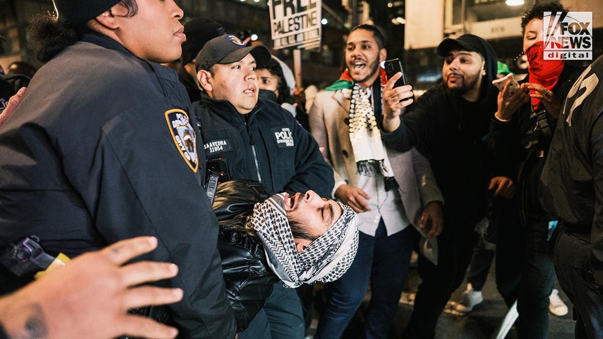 Protester arrested by NYPD