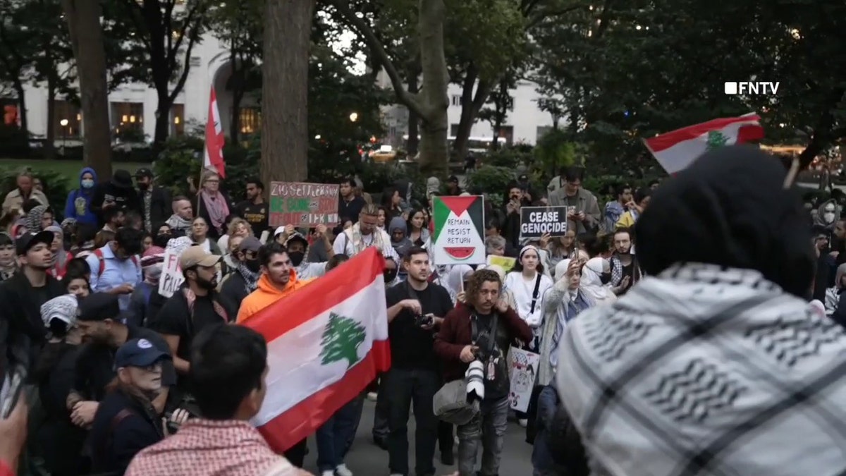 anti-Israel protesters at rally