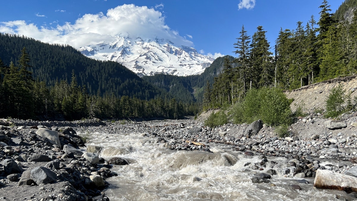 Nisqually River