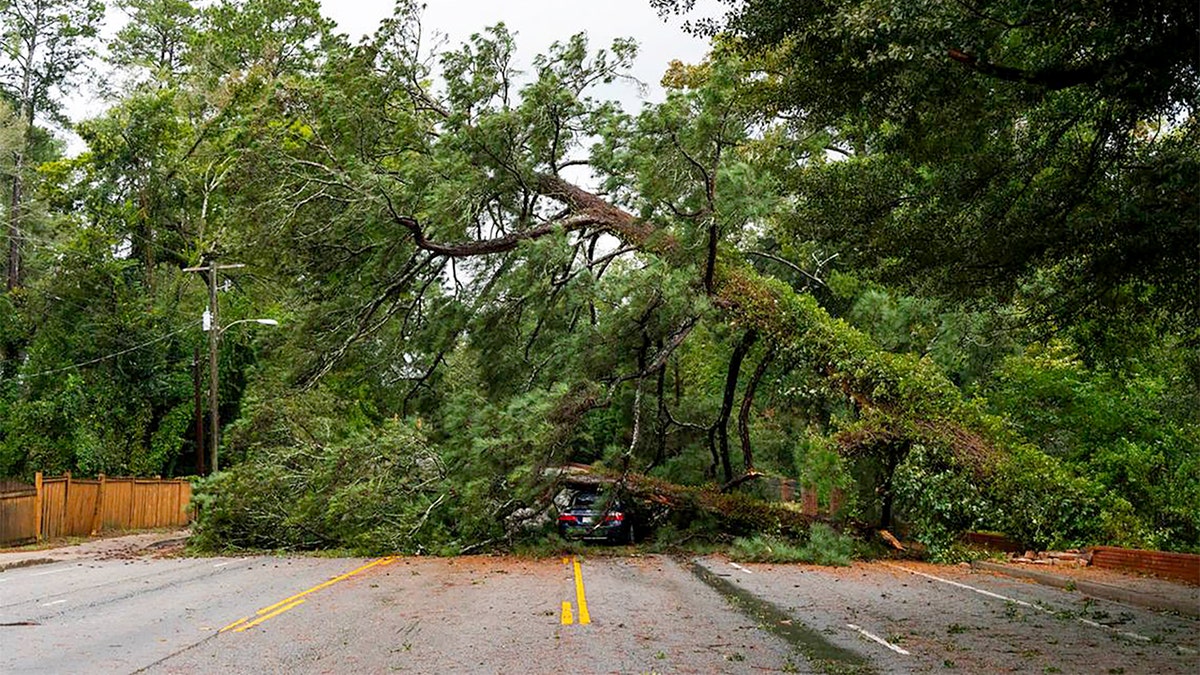 A tree knocked down by Hurricane Helene has fallen on a car in Forest Acres, South Carolina