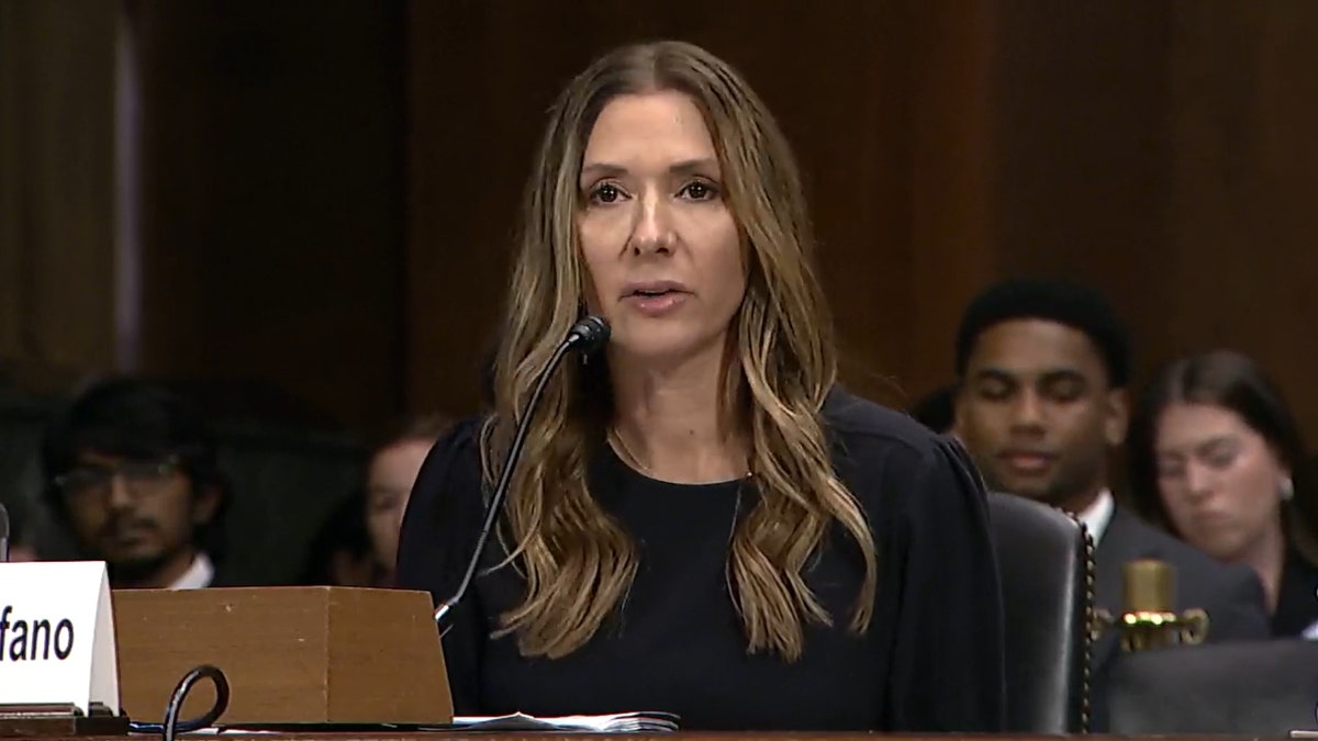 Jennifer DeStefano testifies before the Senate