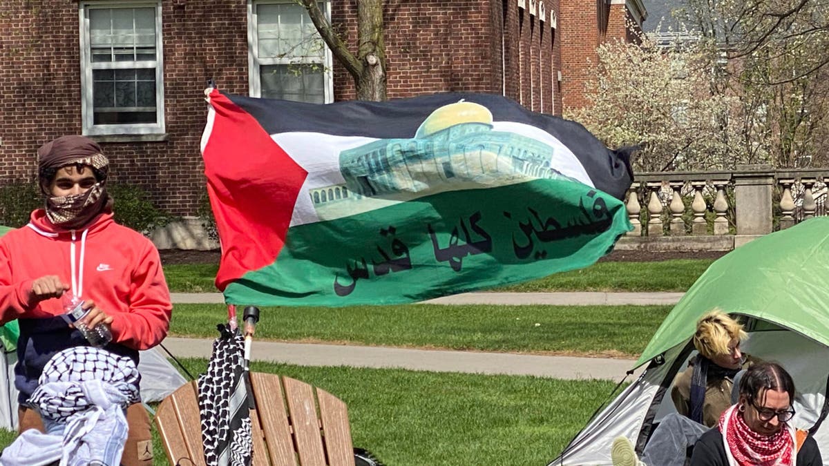 Palestine flag at University of Rochester