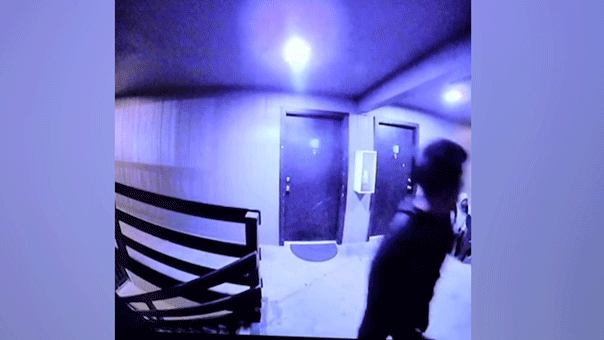 armed crew of nine suspected Tren de Aragua gang members at a Colorado