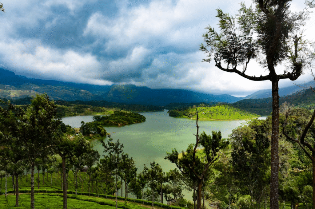 Munnar: A Tranquil Escape into Nature’s Heart