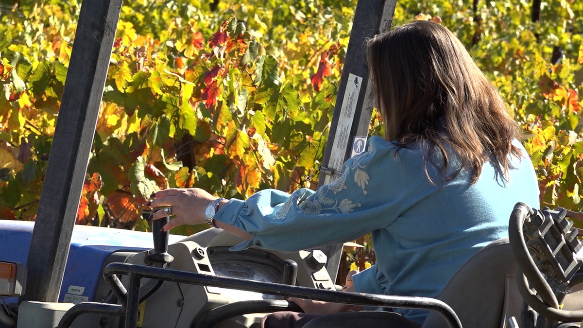 Lucia Hossfeld operates a tractor on her vineyard.