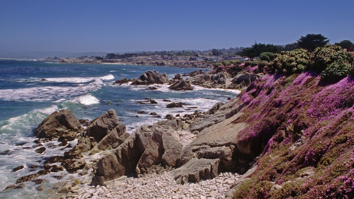 Pacific Grove Beach