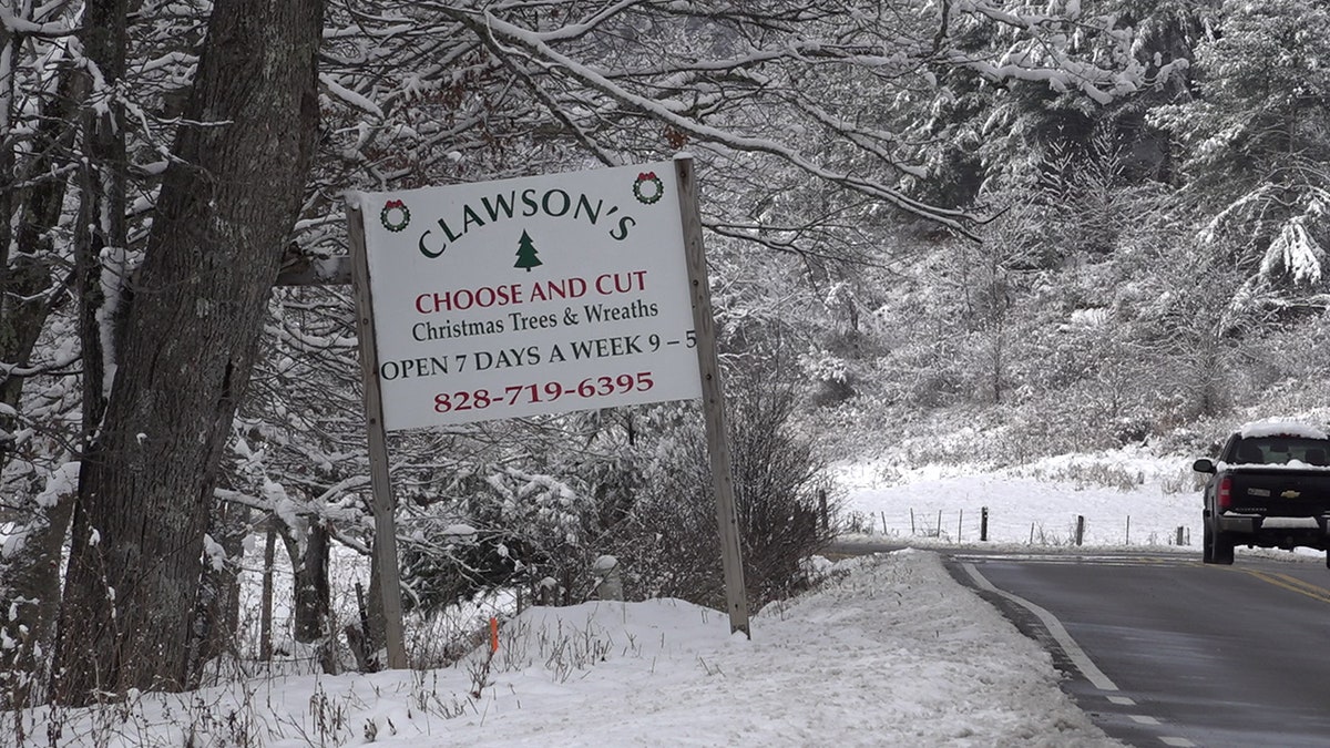 Dozens of Christmas tree farms ready for business in North Carolina