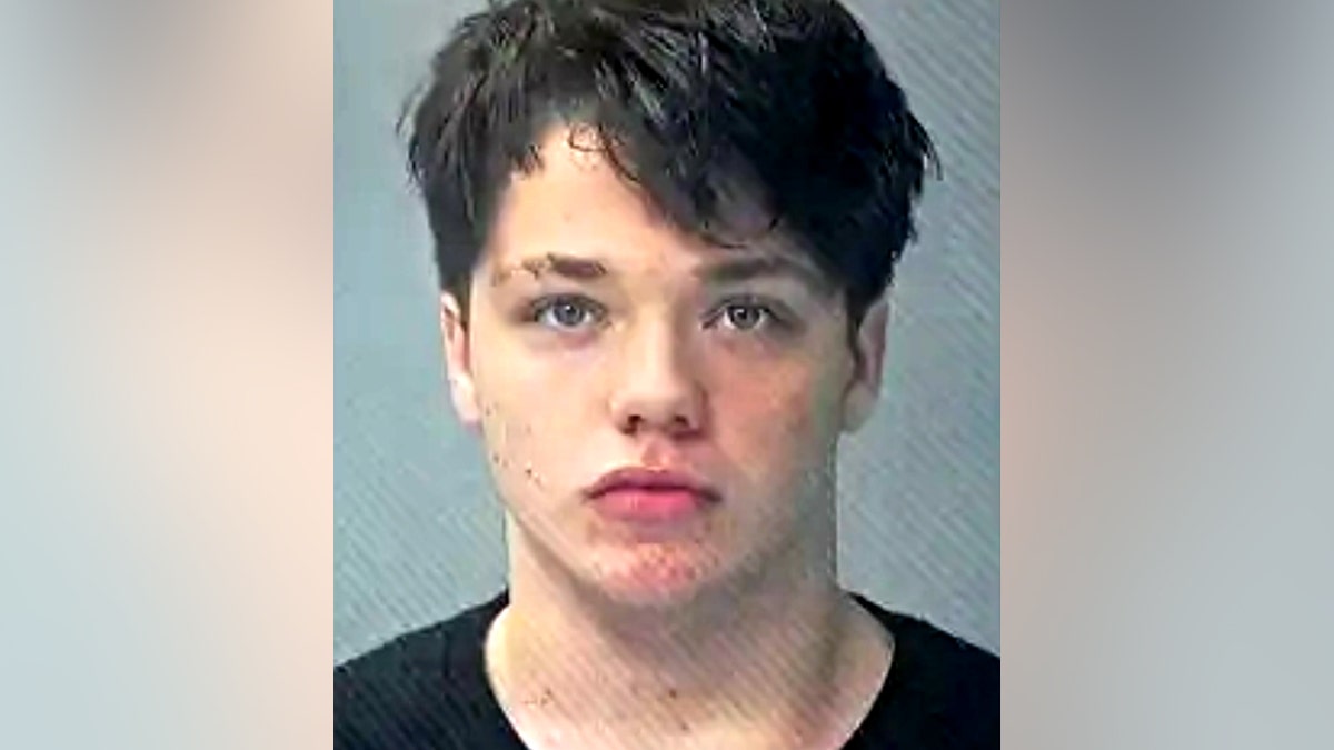 Gabriel Williams mugshot