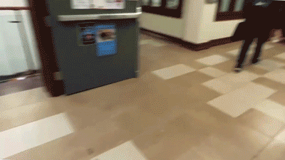 Gif of student allegedly ripping YAF posters off wall