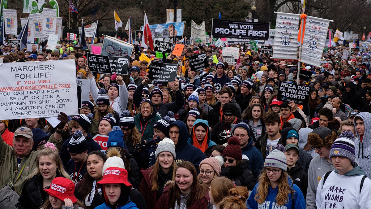 Pro-life demonstrators rally in Washington, DC