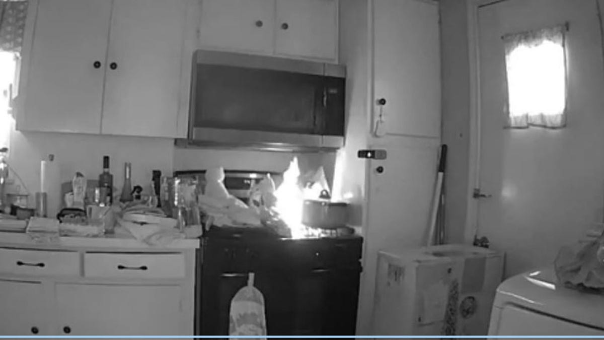 Fire burning on stovetop after cat jumps down