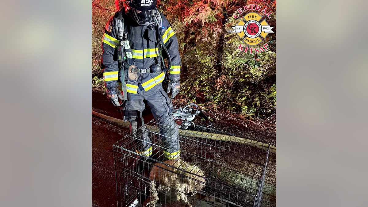 firefighter standing next to dog in a cage