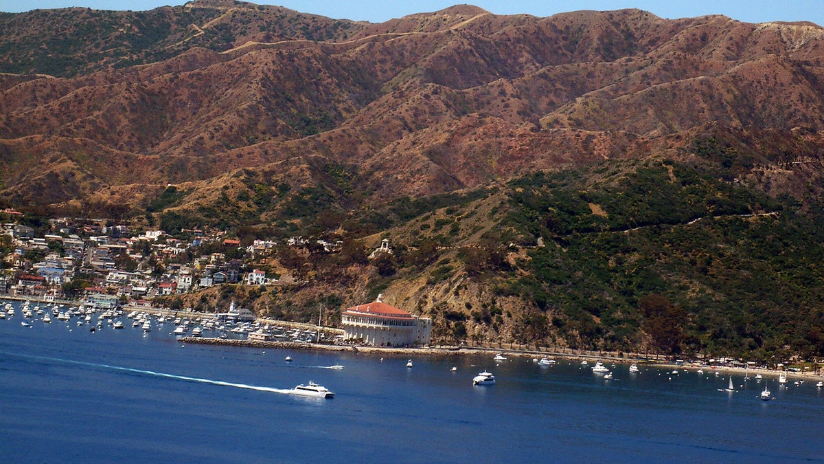 Aerial view of Catalina Island showing the harbor, town and surrounding hills.