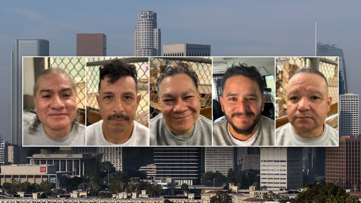 ICE Arrestees and LA backdrop