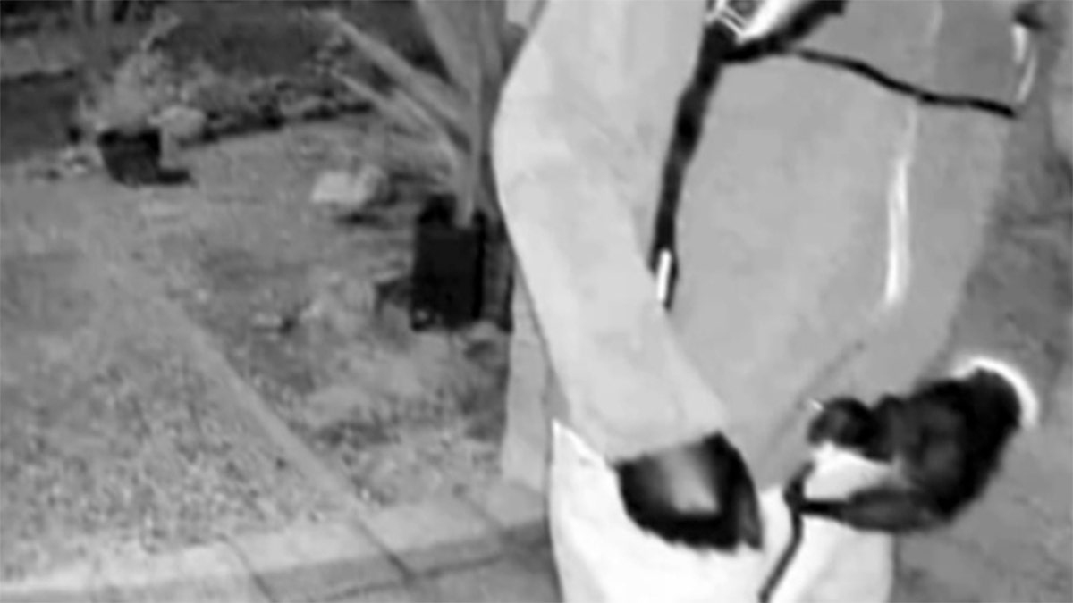 a "subject" carrying a gun on Nancy Guthrie's property.
