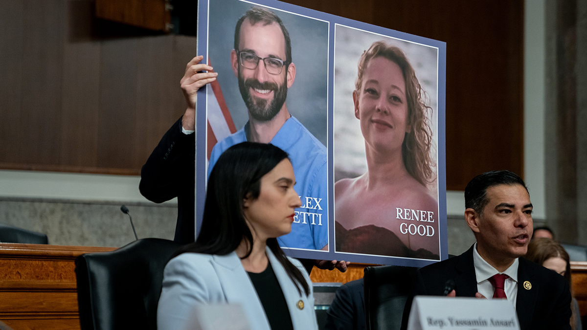 Images of Alex Pretti and Renee Nicole Good displayed during a forum held by Democratic lawmakers