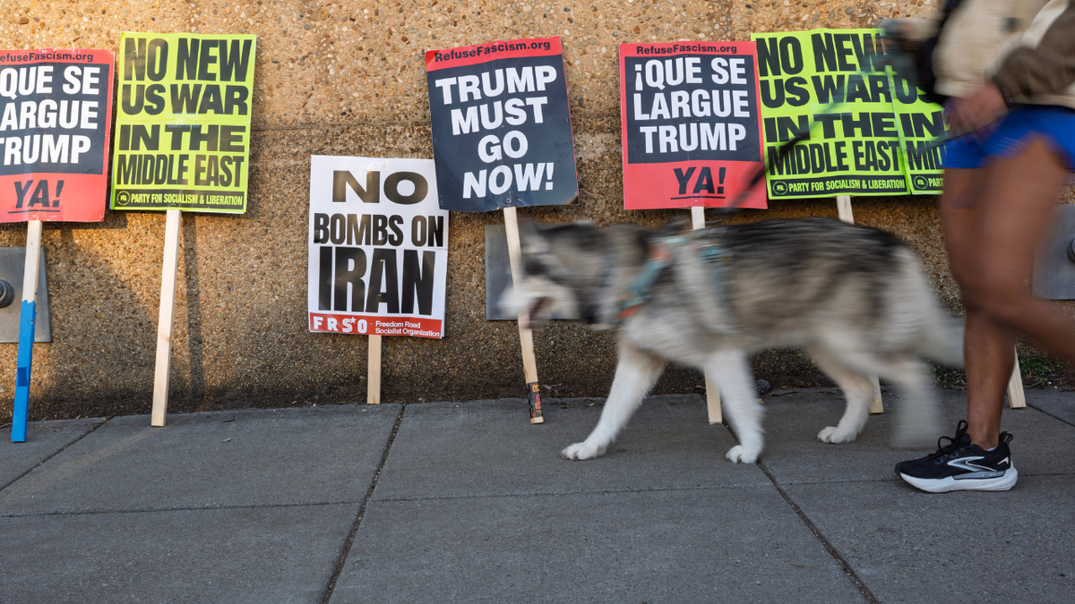 Protest signs by socialist organizations