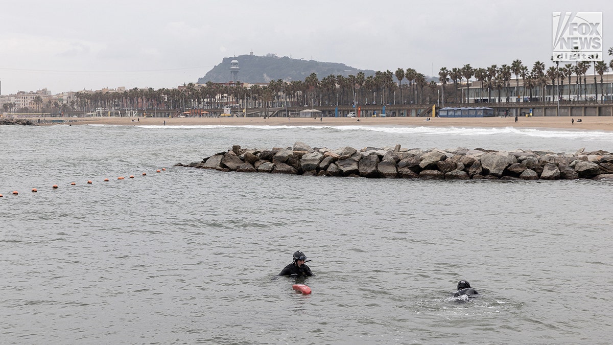Catalan police divers searching for Alabama student James Gracey in the water near the shoreline and marina.