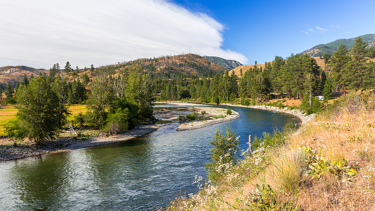 Scenic view of Skagit River in Washington where authorities conducted search operations