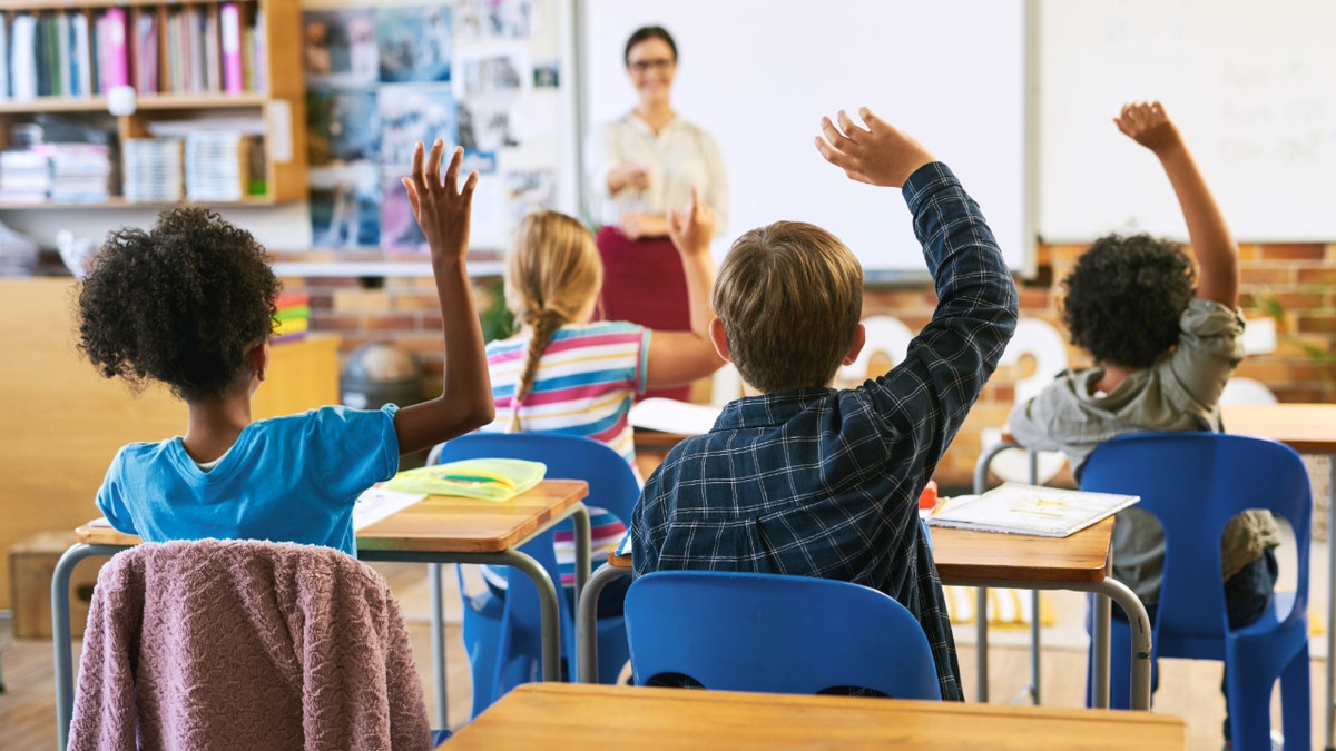 students raising their hands in class