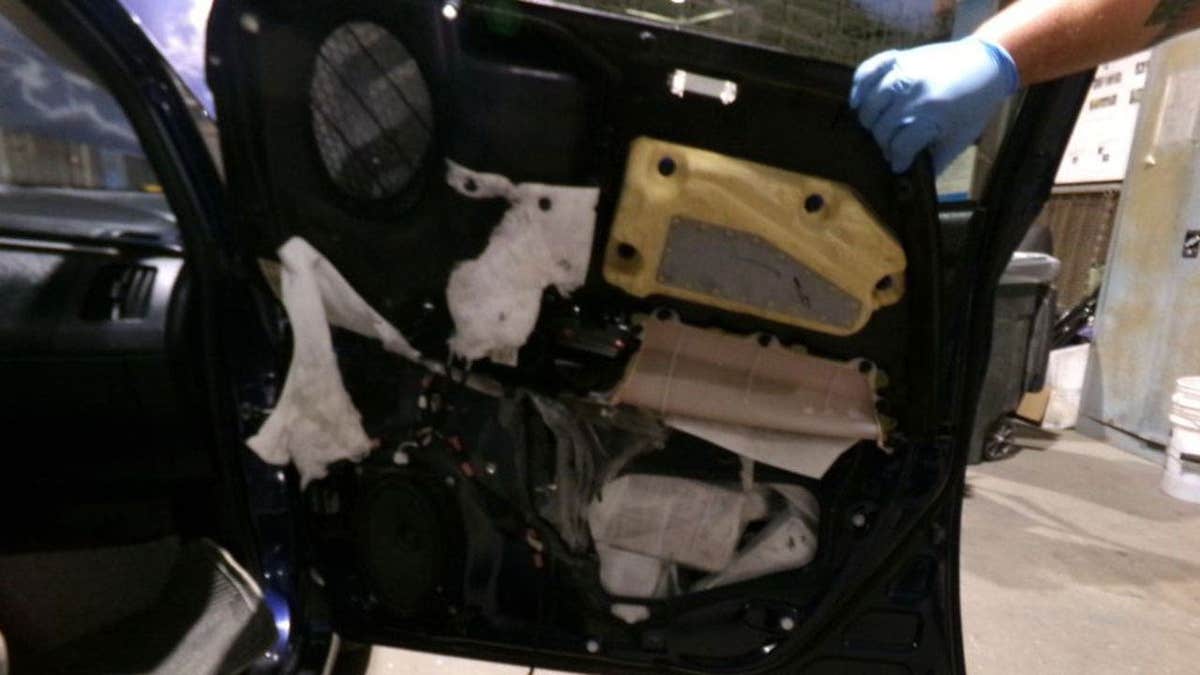 Dugs unveiled in the side door of a car