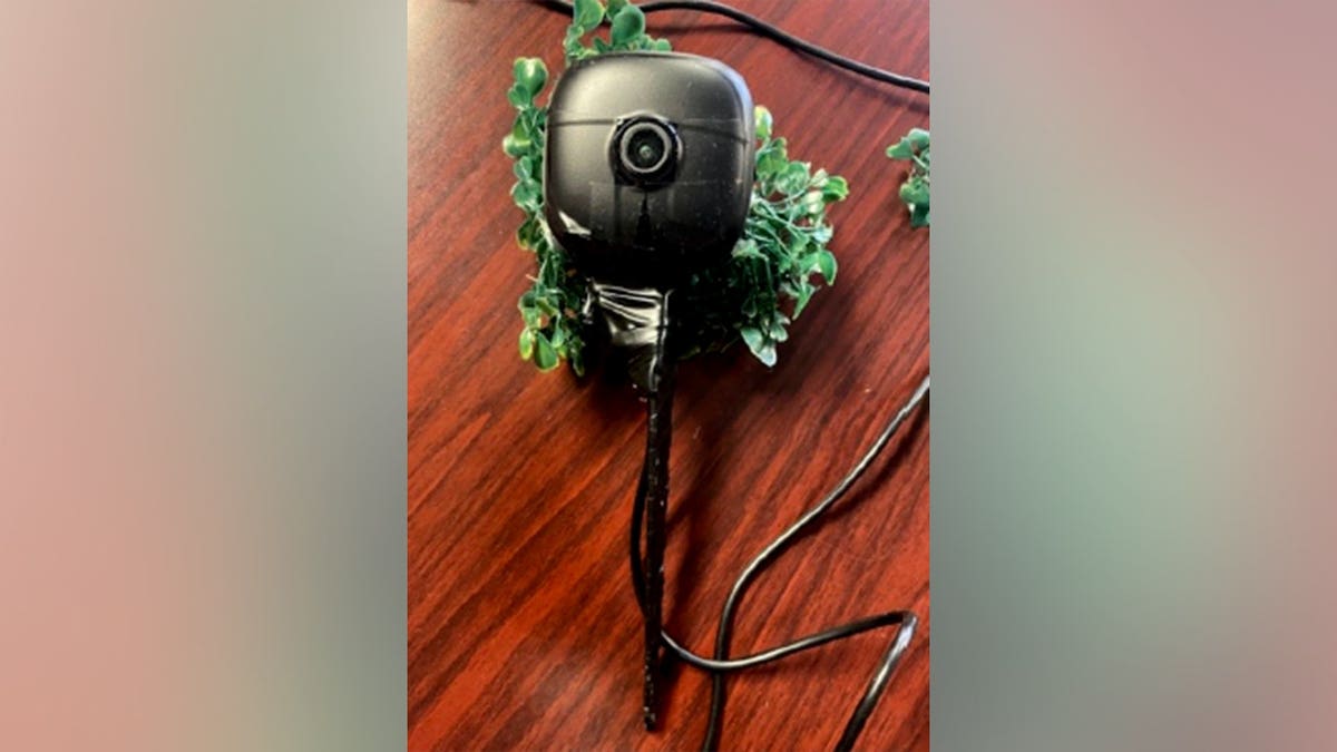 a black hidden surveillance camera with green leaves attached set on a table