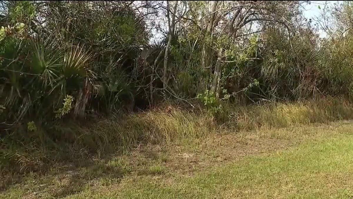 Wooded area where suitcase was found