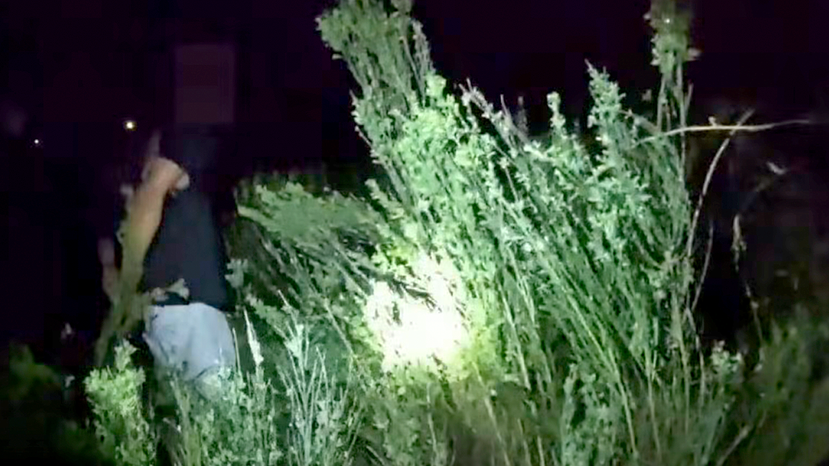 Suspect runs through brush as deputies conduct K9 search following high speed police chase