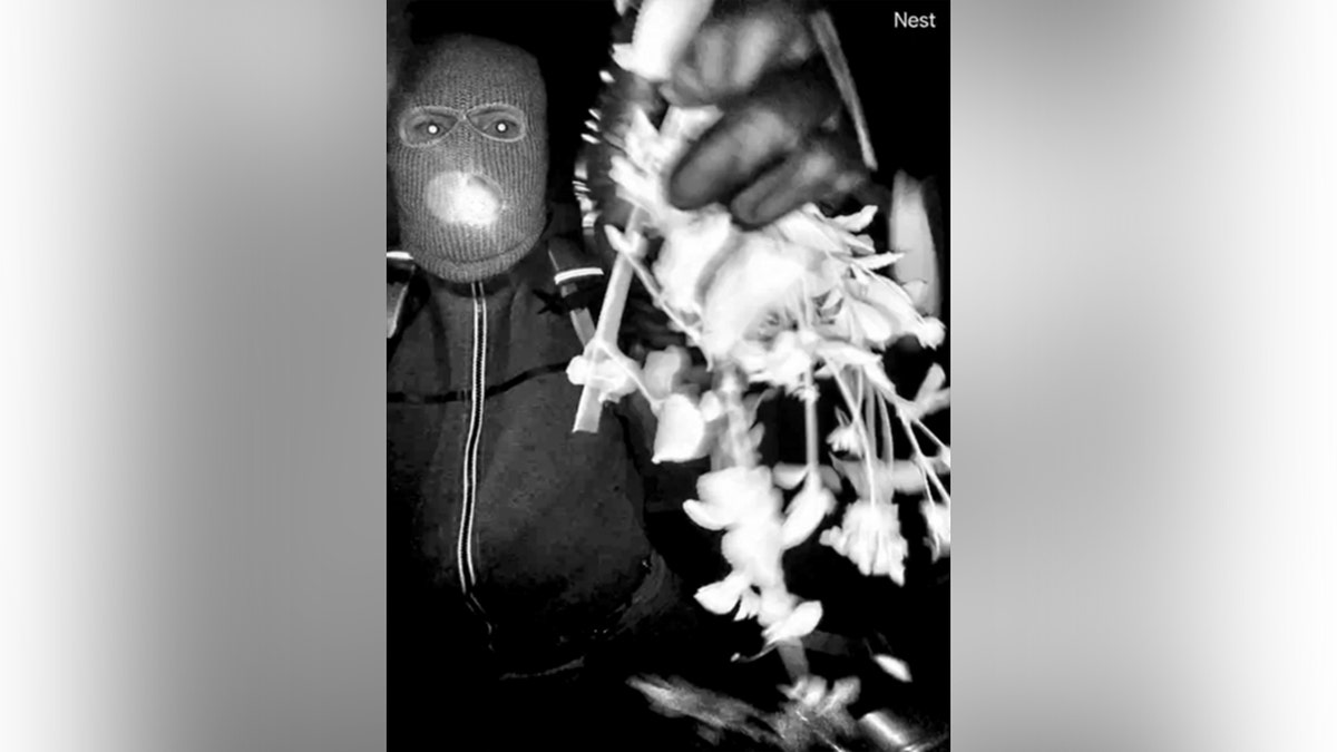 An armed individual reaching toward a Google Nest camera at Nancy Guthrie's front door in Tucson