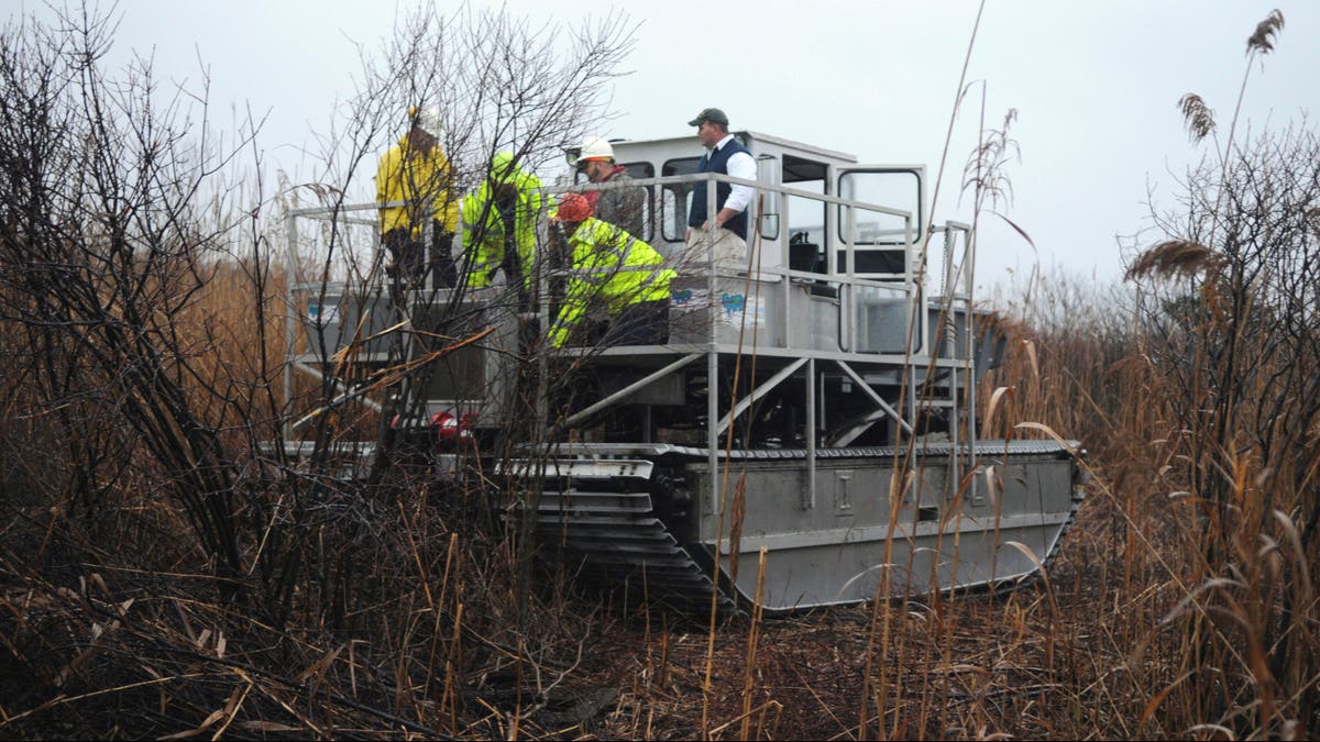 Suffolk County police using a ditcher to search marsh in Oak Beach community