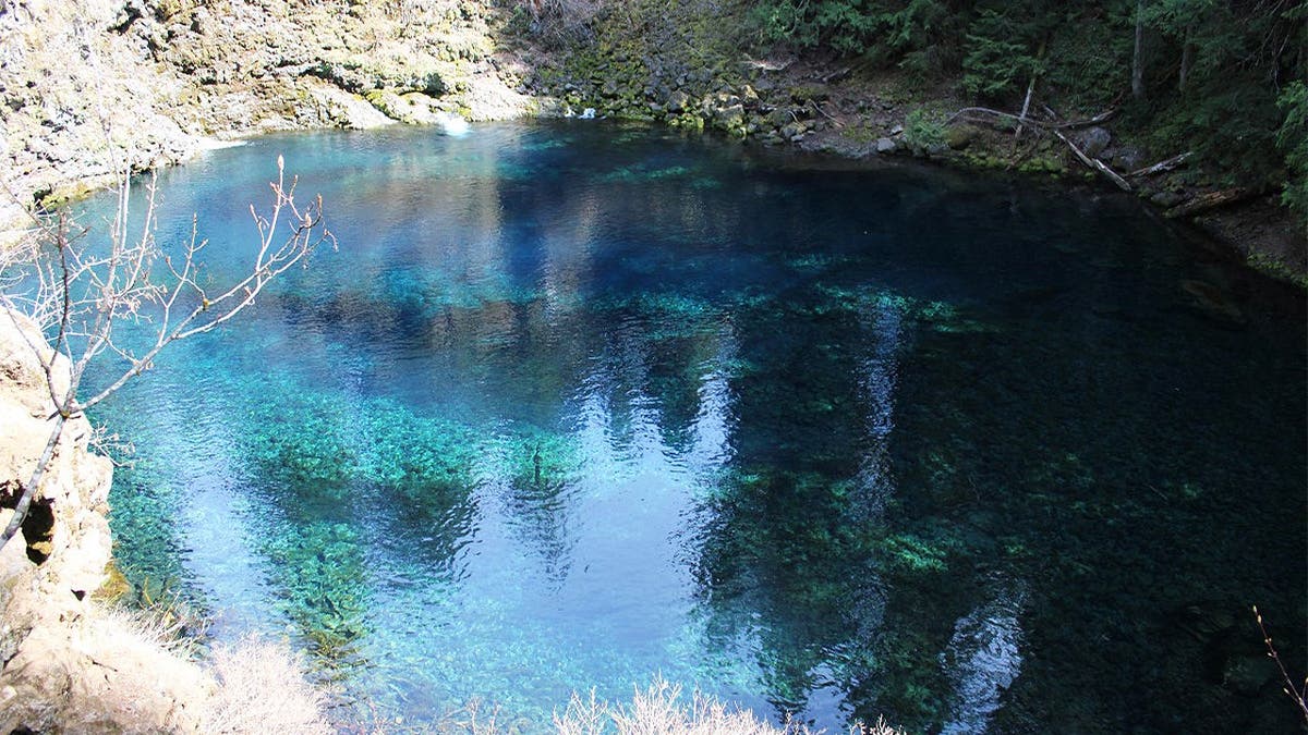 Tamolitch Falls with its blue water.