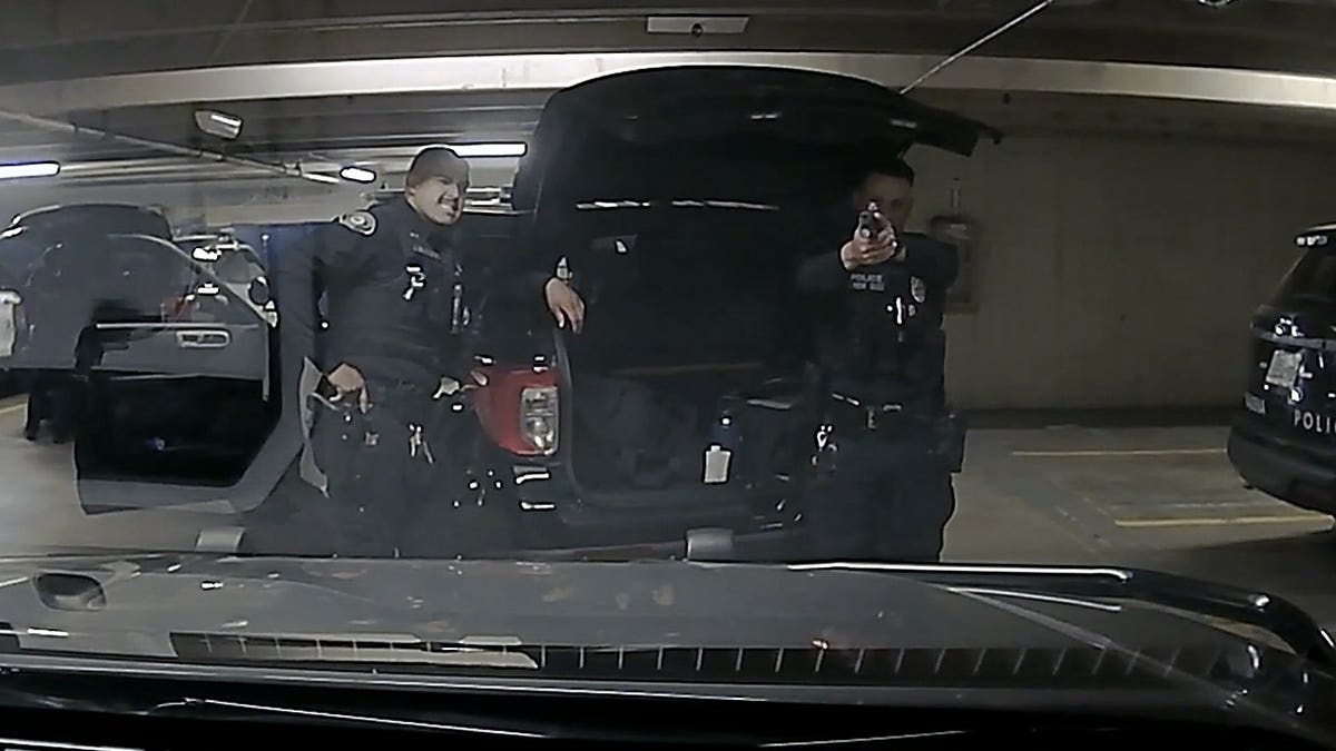 Police officer points weapon