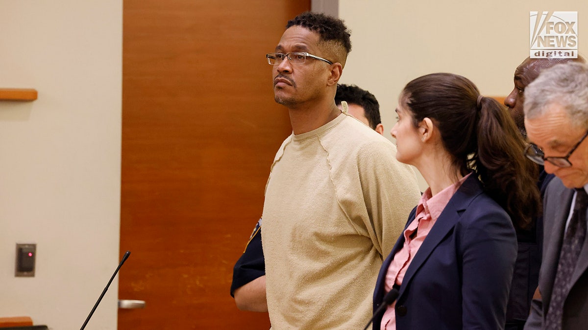 Sheldon Johnson appears in a courtroom at the Bronx Supreme Court