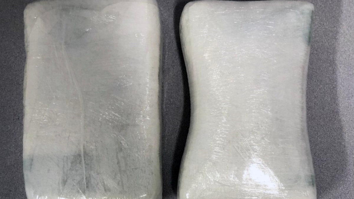 Cocaine concealed in bags.