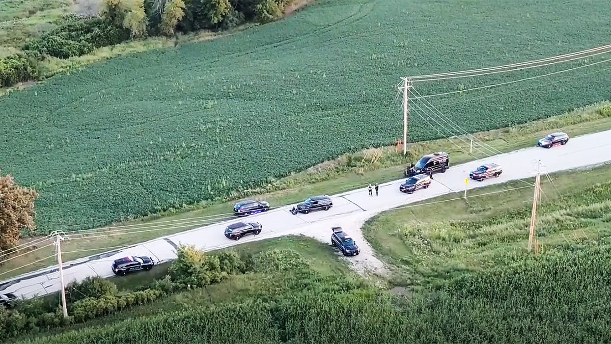 Sheriff's deputies at edge of cornfield