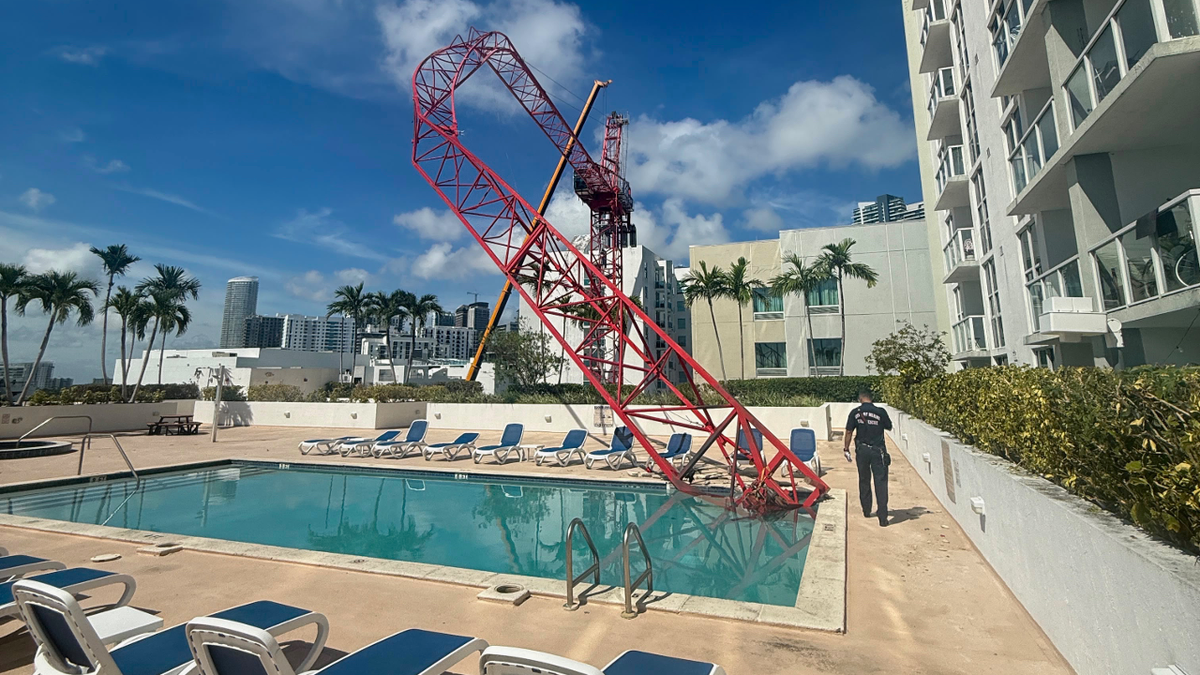 Crane arm