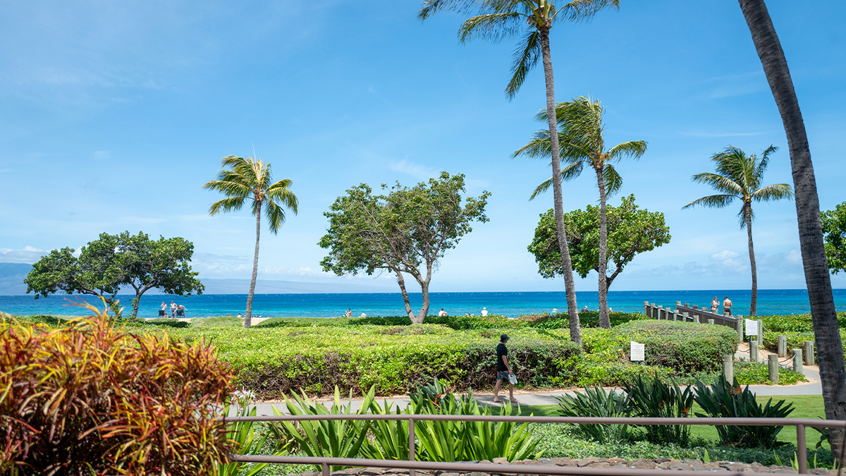 View of Kaanapali Beachwalk amid palm trees and landscaped grounds