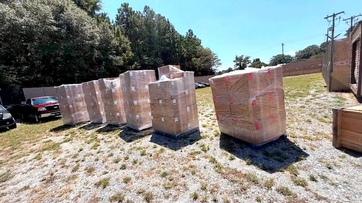 cardboard boxes piled up containing suspected black market marijuana