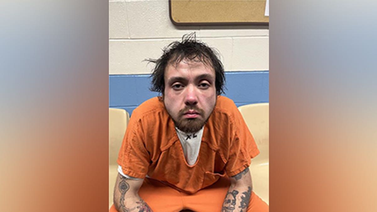 Nestor Roman II booking photo