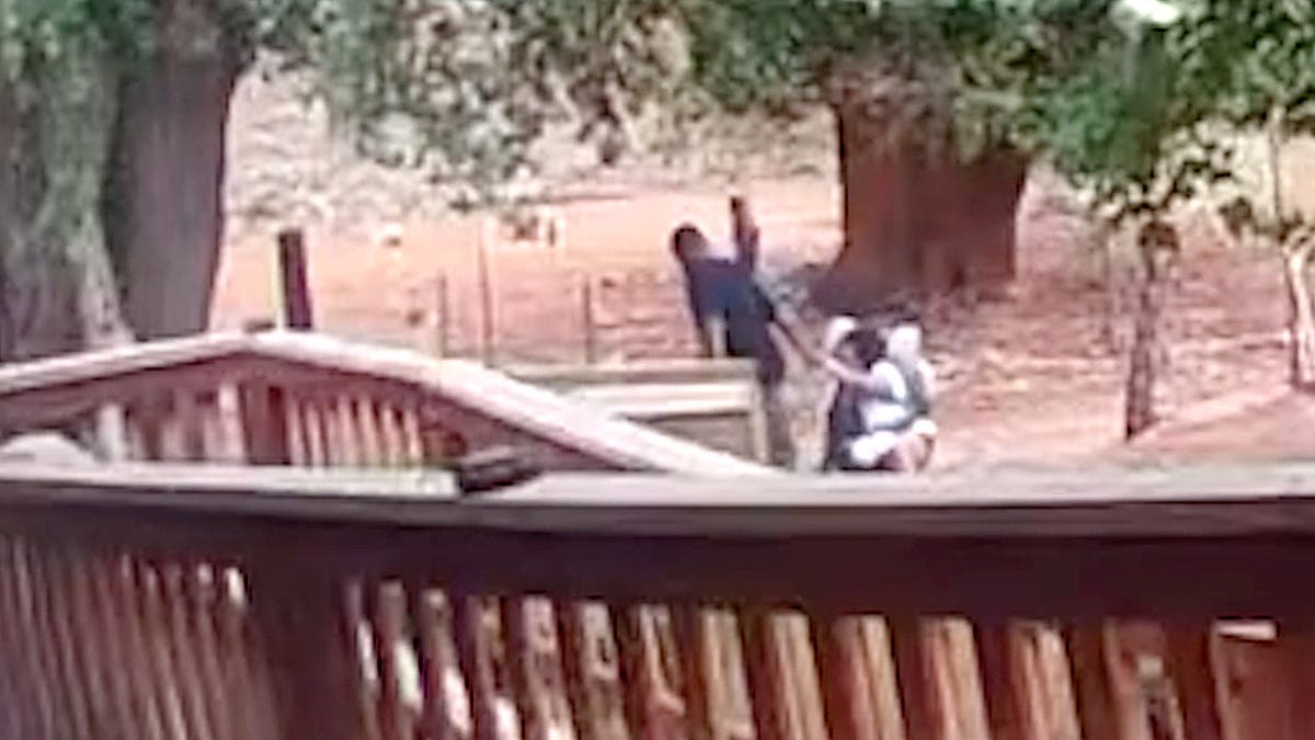 Arizona mountain hiker Alexis Rowan, 27, fighting her attacker