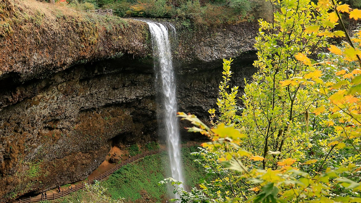 waterfall descending into pool