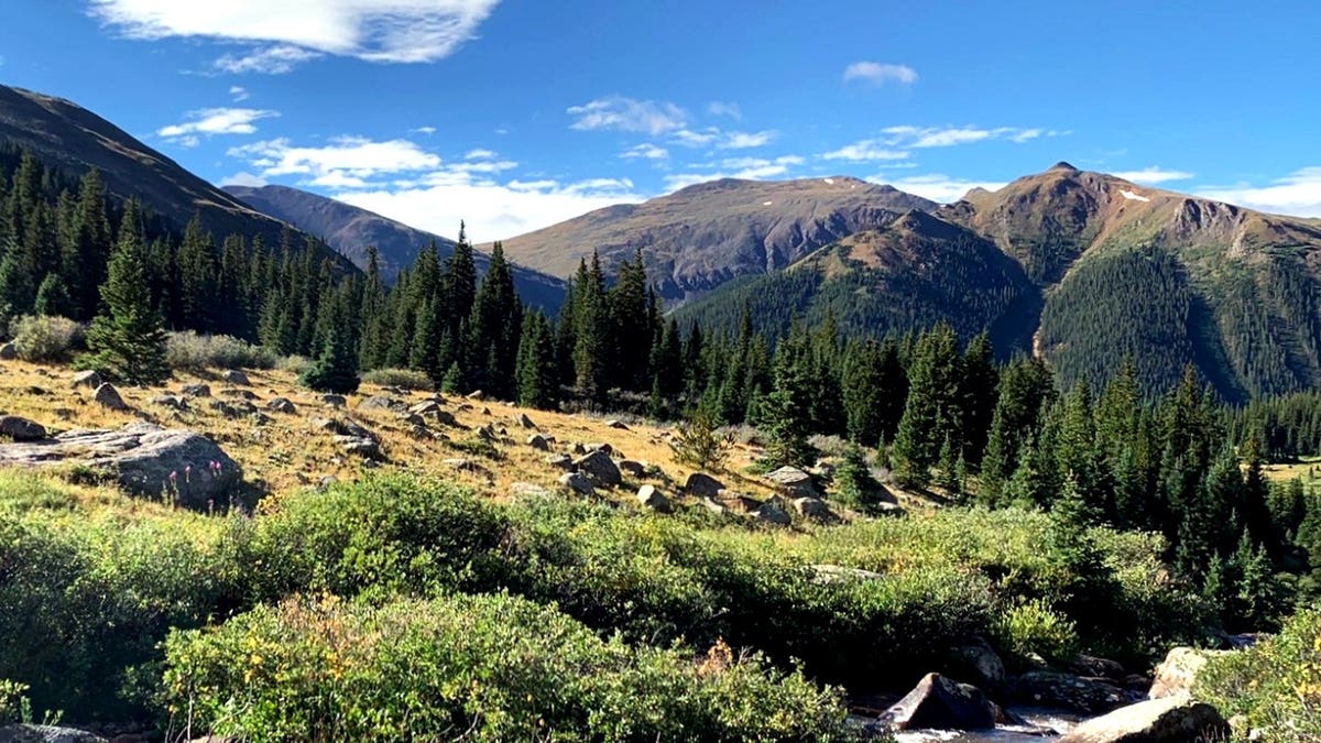 A view of a mountainous area in Summit County