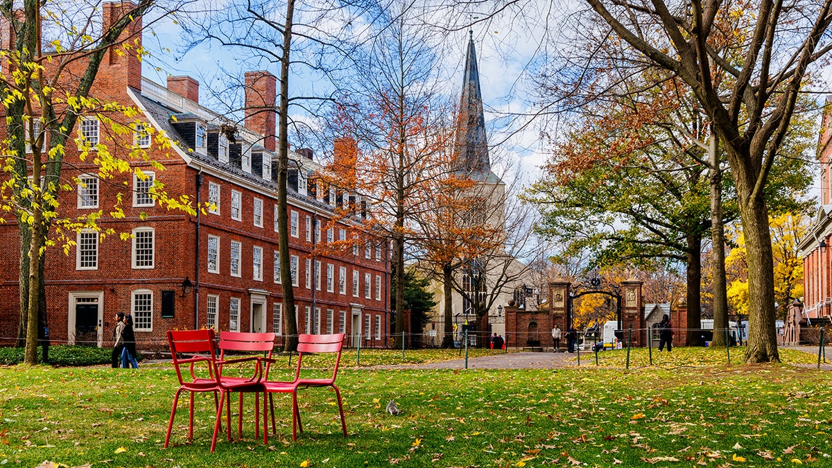 Harvard campus in fall