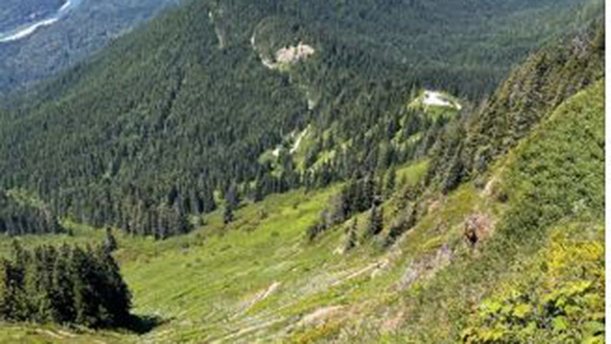 Sauk Mountain