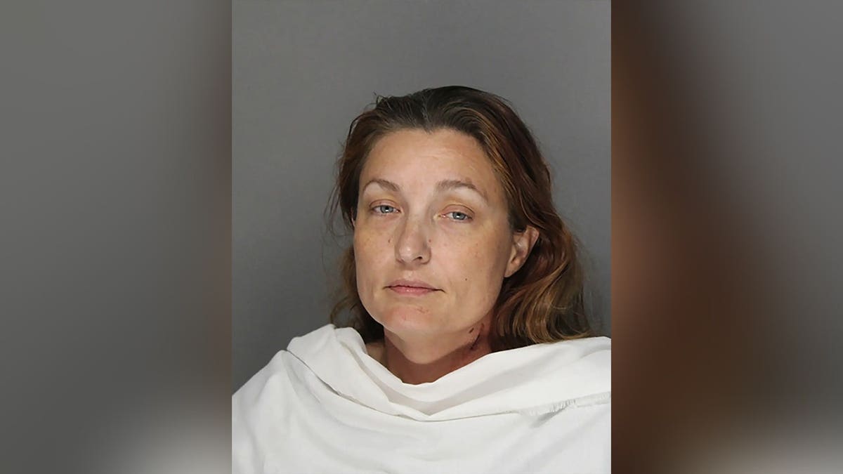 Colleen Nichole Lemmon mugshot