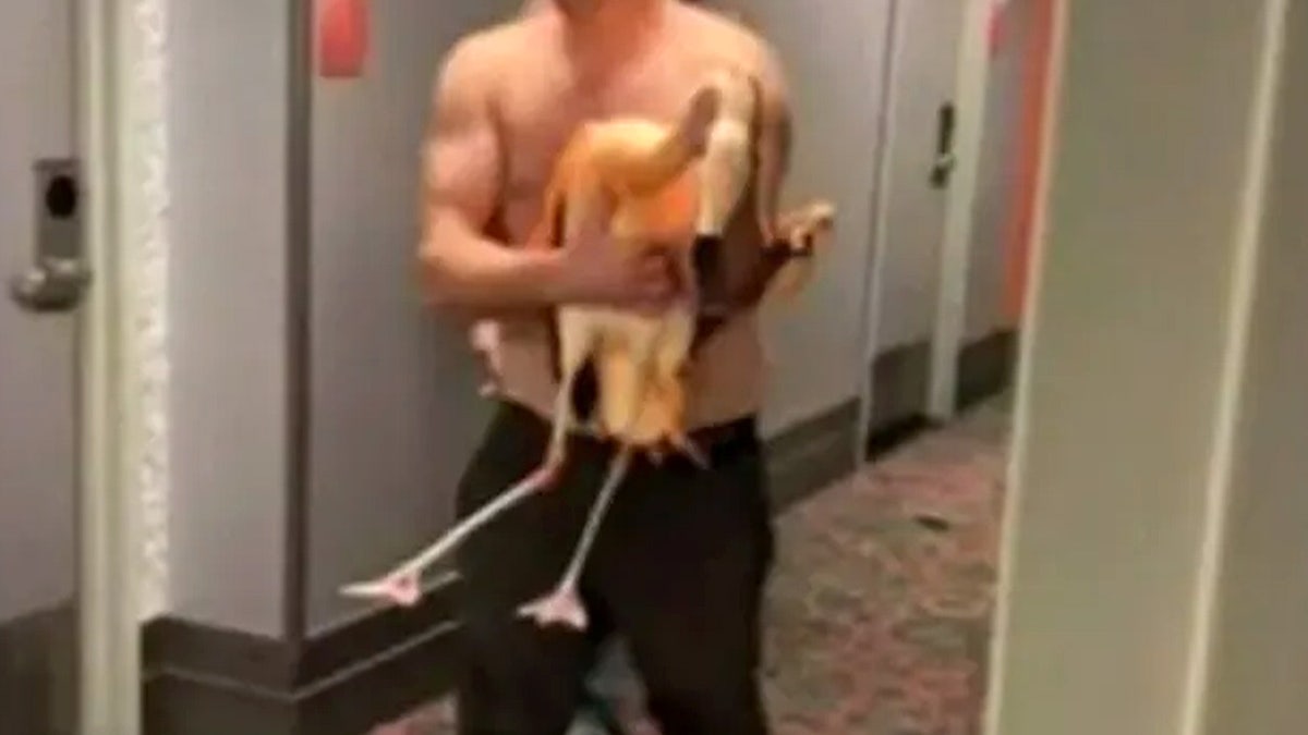 Suspect with the allegedly stolen flamingo.