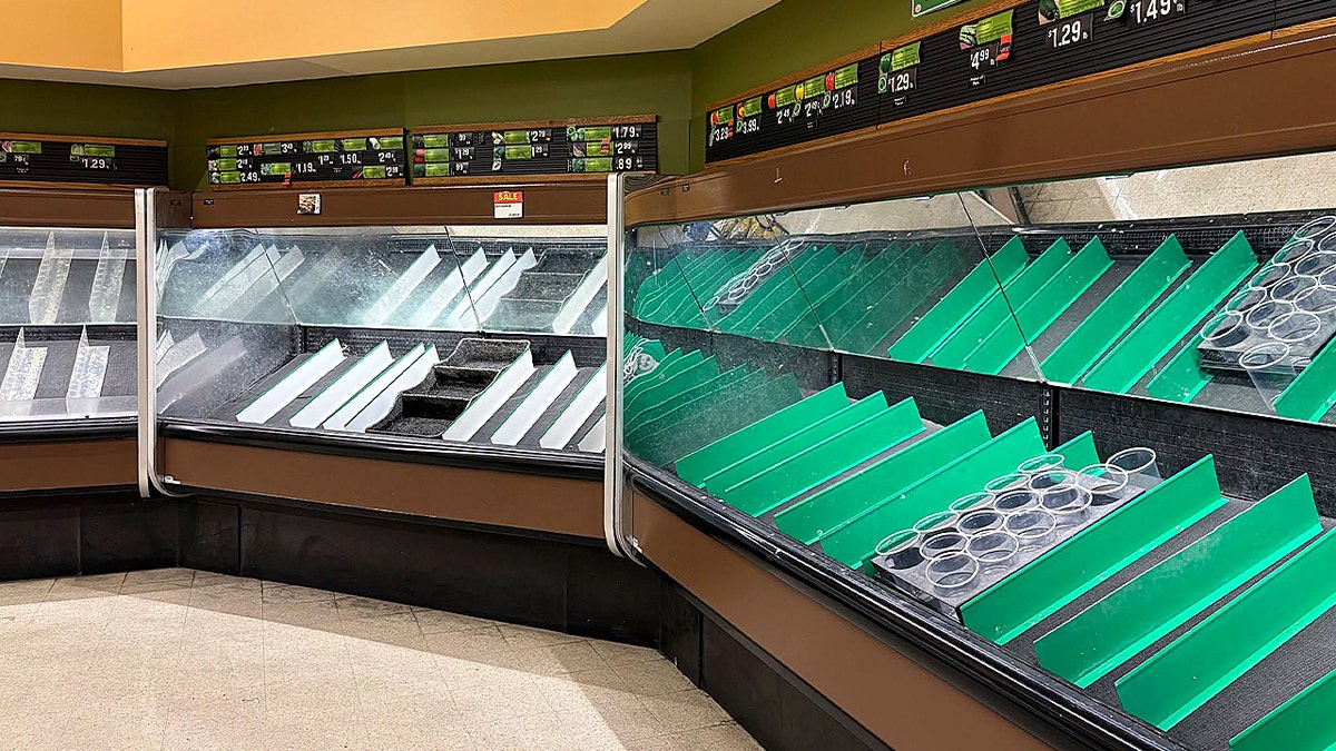 empty fridge section