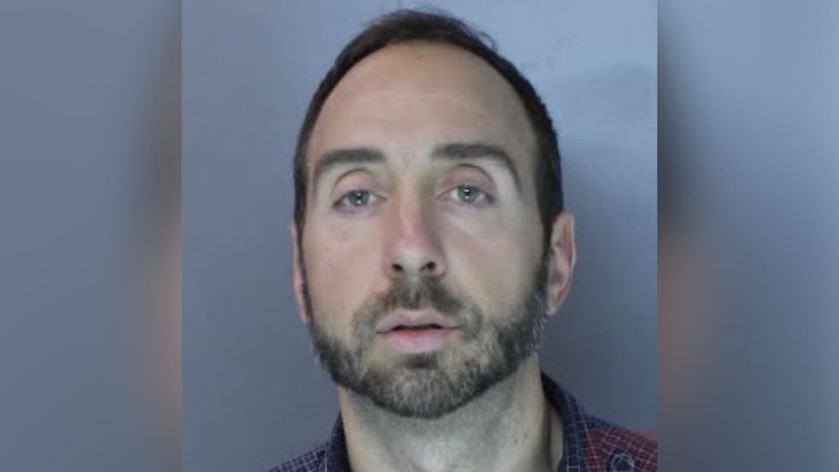 image shows mugshot of suspect
