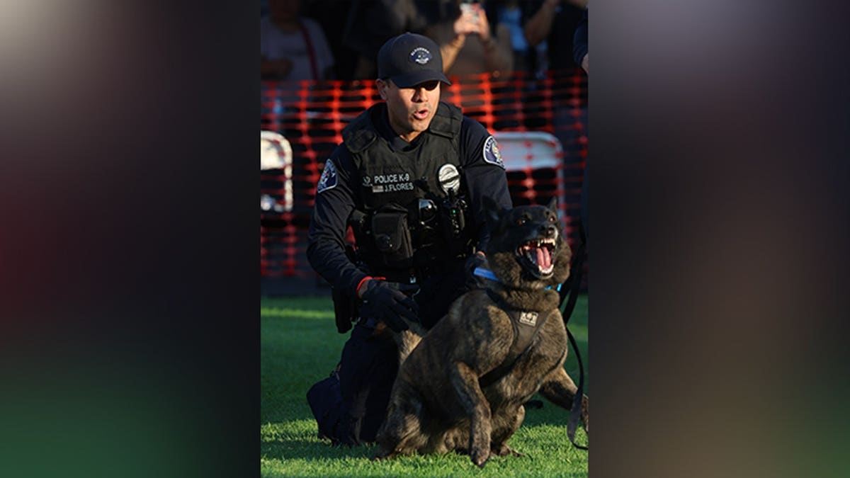 K-9 Otis and a handler